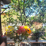 Photo n° 2 de l'avis de Frédéric.l fait le 22/07/2023 à 15:50 pour La Tabatière Fleurie à Carcans