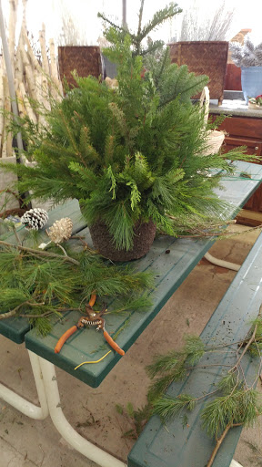 Florist «Kinsch Village Florist & Garden Center», reviews and photos, 301 Johnson St, Palatine, IL 60067, USA