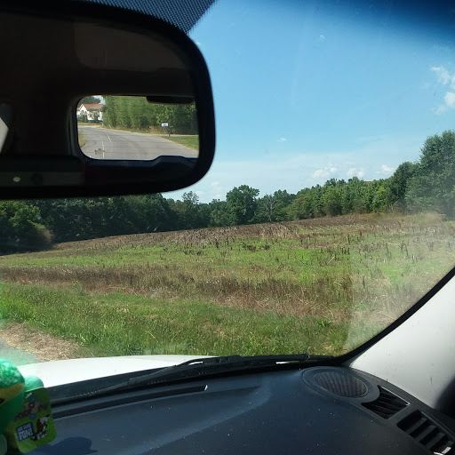 Discount Store «Dollar General», reviews and photos, 4240 Highpoint Rd, Albertville, AL 35950, USA