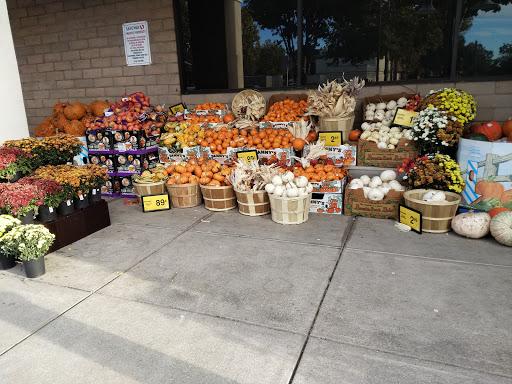 Safeway image