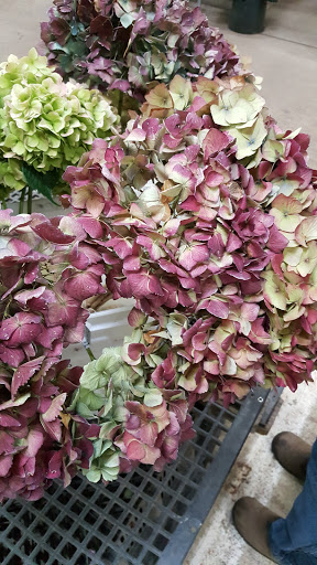 Florist «Portland Flower Market», reviews and photos, 3624 N Leverman St, Portland, OR 97217, USA