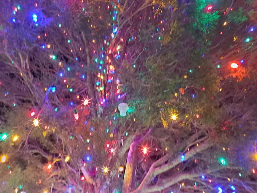 Bowling Alley «Di Donato Bowling Center», reviews and photos, 1151 S White Horse Pike, Hammonton, NJ 08037, USA