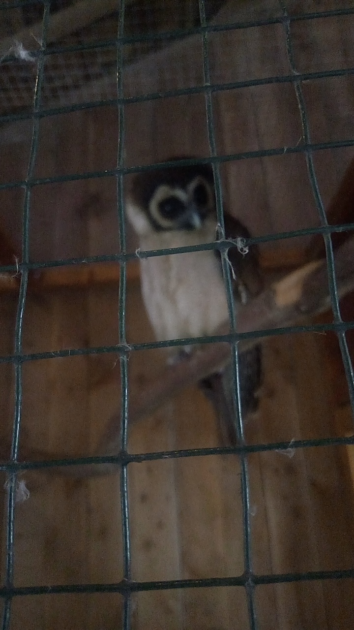 Photo n° 9 de l'avis de Emilie.e fait le 07/07/2019 à 10:34