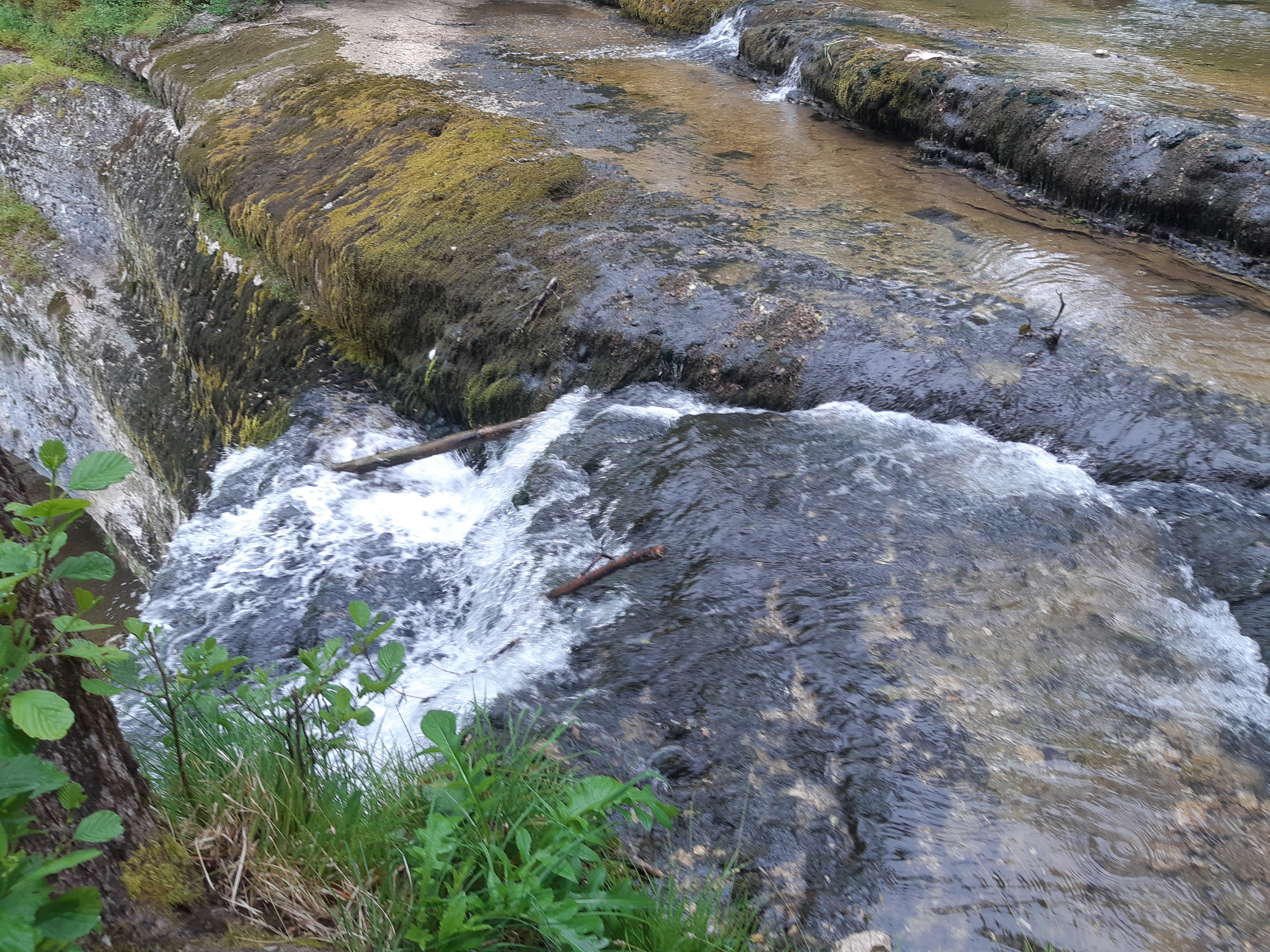 Photo n° 2 de l'avis de mary.h fait le 11/06/2019 à 11:30