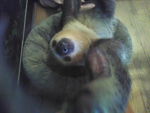 Pet Supply Store «EarthWise Pet Supply - Flower Mound», reviews and photos, 2311 Cross Timbers Rd #307, Flower Mound, TX 75028, USA