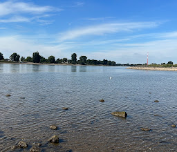 Rhein beach at the ferry photo