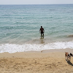 Photo n°7 de l'avis de calogero.u fait le 21/09/2023 à 08:35 sur le  Reem Restaurant - Beach à Marina di Pescoluse