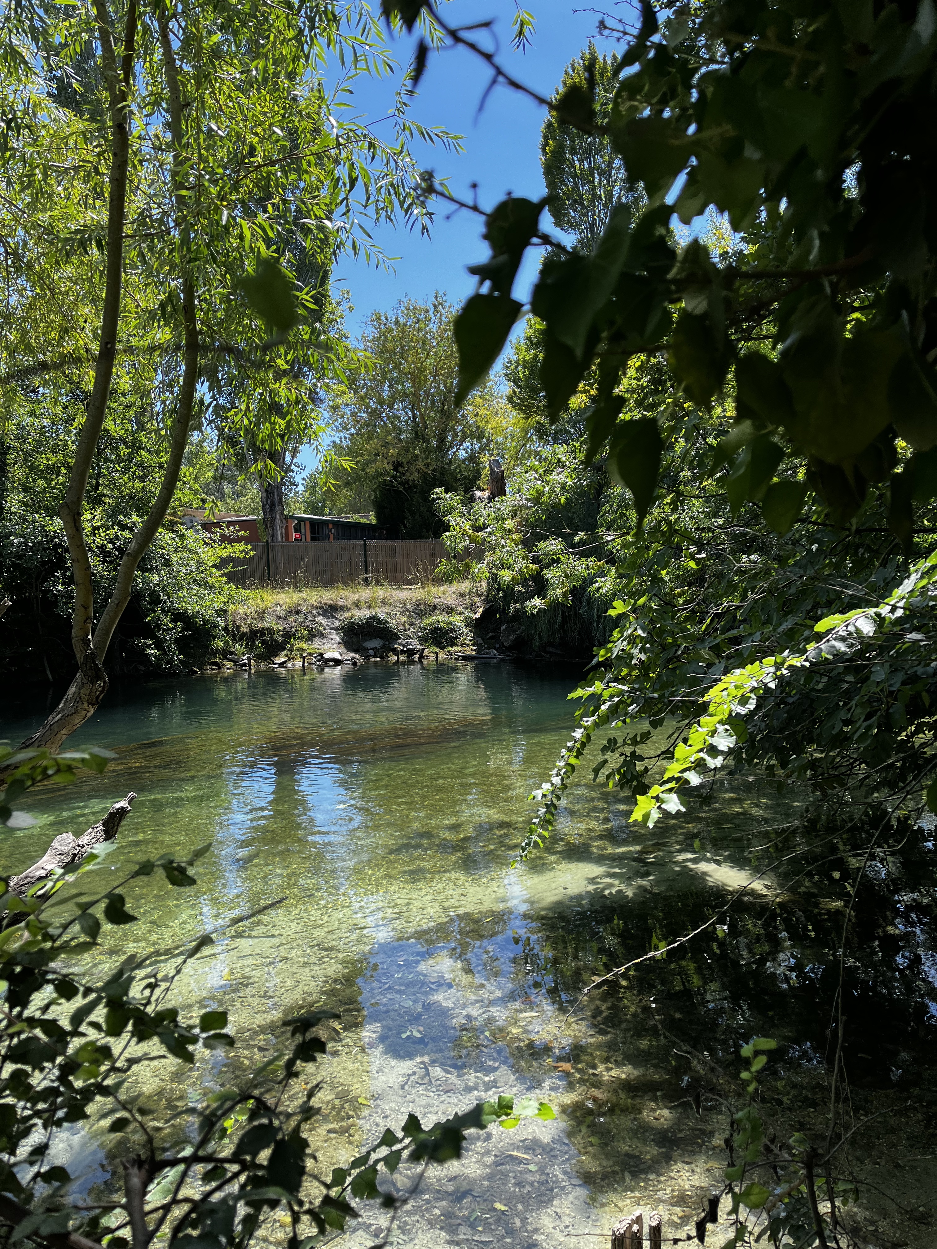 Photo n° 5 de l'avis de Chaf.o fait le 09/08/2023 à 16:45
