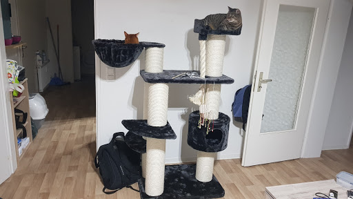 Tierwelt Vollmer unter Wuppertal, 