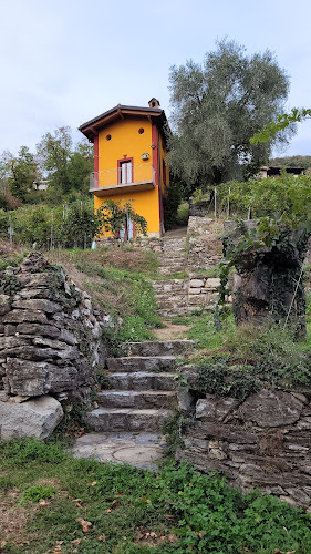 Cantina Cavallini - Agriturismo il Roccolo