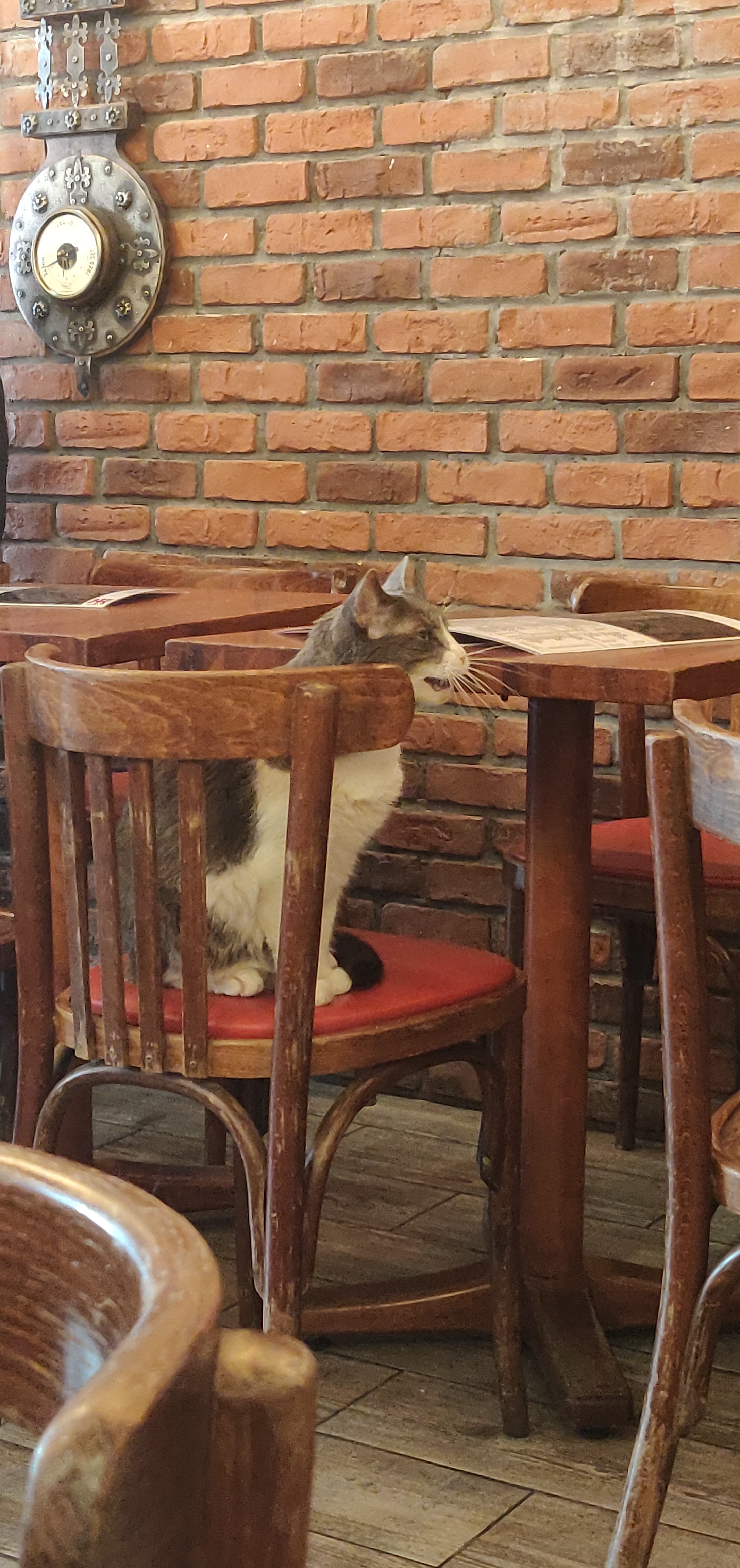 Photo n° 1 de l'avis de Thendiman. fait le 18/05/2019 à 06:20