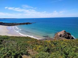Plage de La Fosse'in fotoğrafı çok temiz temizlik seviyesi ile
