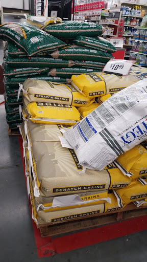 Home Improvement Store «Tractor Supply Co.», reviews and photos, 2754 Saratoga Blvd, Corpus Christi, TX 78415, USA