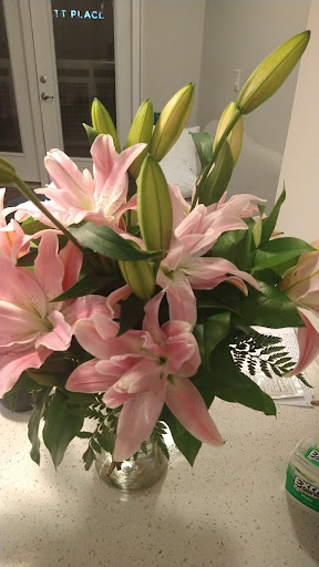 Florist «Chantilly Flowers», reviews and photos, 14514 Lee Rd E, Chantilly, VA 20151, USA