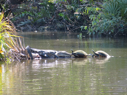 Boat Tour Agency «River Lilly Cruises», reviews and photos, 500 E Prima Vista Blvd, Port St Lucie, FL 34983, USA
