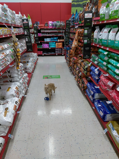 Pet Supply Store «Petco Animal Supplies», reviews and photos, 5481 Lone Tree Way, Brentwood, CA 94513, USA