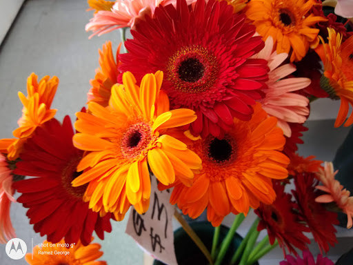 Supermarket «206 Farmers Market Inc», reviews and photos, 626 US-206, Hillsborough Township, NJ 08844, USA