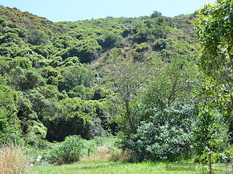 Paekawakawa Reserve