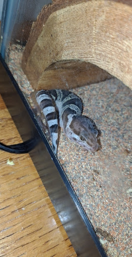 Pet Supply Store «PetSmart», reviews and photos, 3081 S 5600 W, Salt Lake City, UT 84120, USA