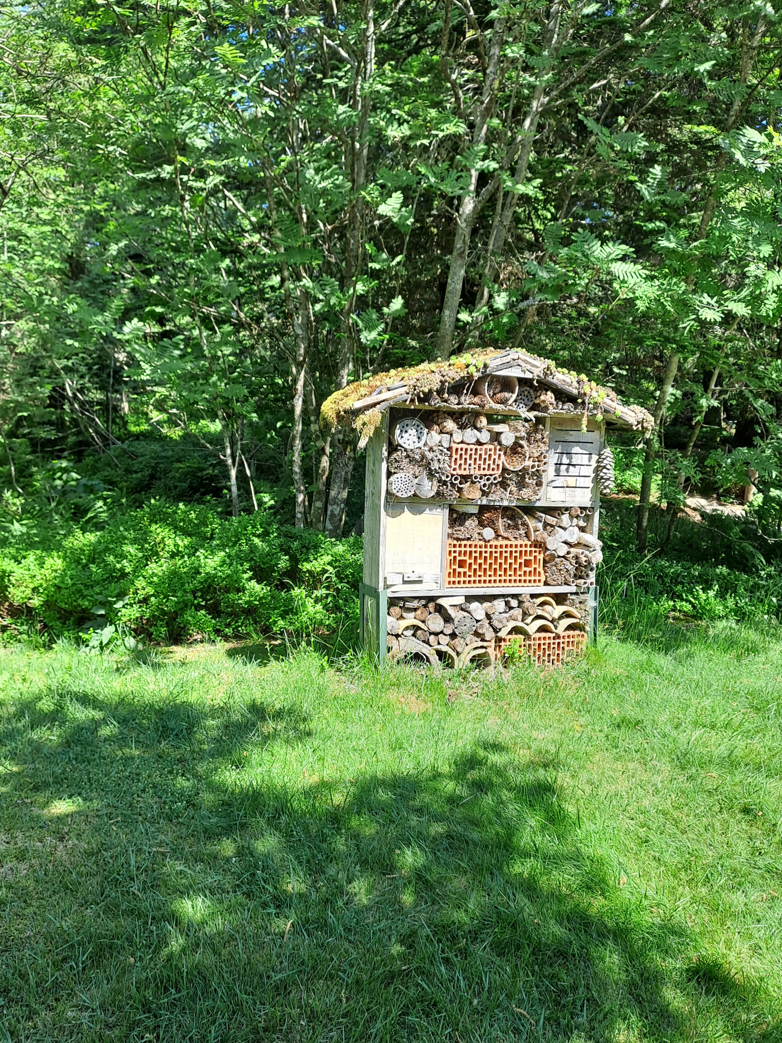 Photo n° 3 de l'avis de RAVIER.A fait le 15/06/2023 à 04:40