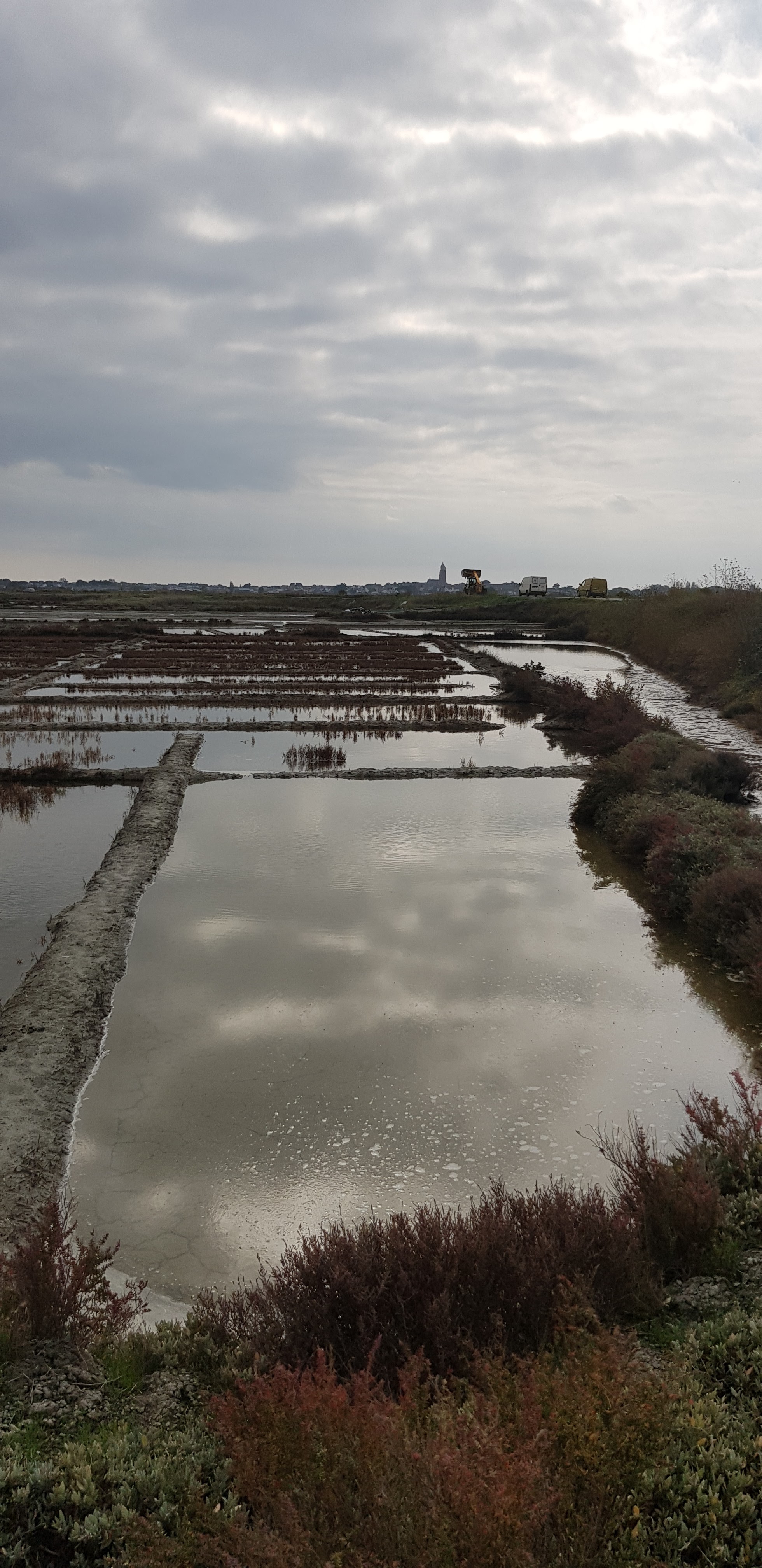 Photo n° 12 de l'avis de dragon. fait le 29/11/2019 à 13:16