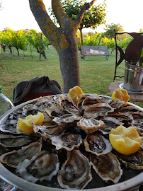 Plats et boissons du Bar-restaurant à huîtres L'Huître et la Vigne à Saint-Hilaire-d'Ozilhan - n°17
