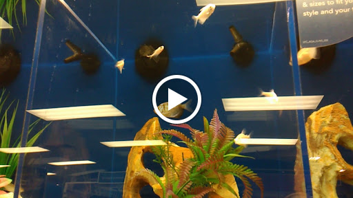 Pet Supply Store «PetSmart», reviews and photos, 573 N McKinley St, Corona, CA 92879, USA