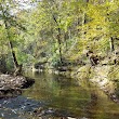 Lower Howard’s Creek Nature and Heritage Preserve