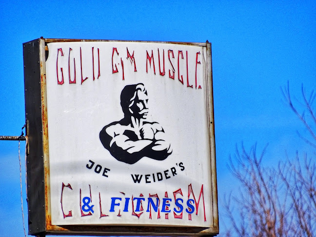 Gold’s Gym Muscle - <nil>