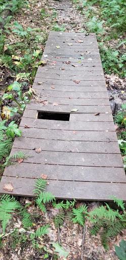 Nature Preserve «Sadsbury Woods Preserve», reviews and photos, Ramblewood Dr & Northwood Dr, Coatesville, PA 19320, USA