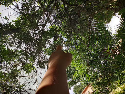 Park «Concord Park», reviews and photos, 3301 SW 114th Ave, Miami, FL 33165, USA