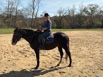 OrthoCarolina Winston-Salem - Photo 3 - Car repair in Winston-Salem, NC, Winston-Salem