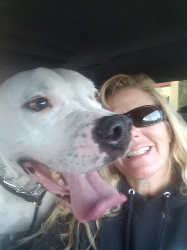 Pet Supply Store «Pet Foods Market & Supplies», reviews and photos, 1816 N Sepulveda Blvd, Manhattan Beach, CA 90266, USA