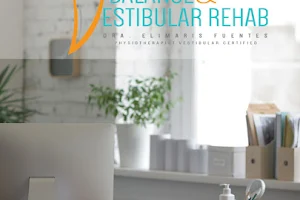 Balance and Vestibular Rehab image