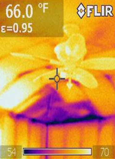 Insulation Contractor «Green Home Energy», reviews and photos