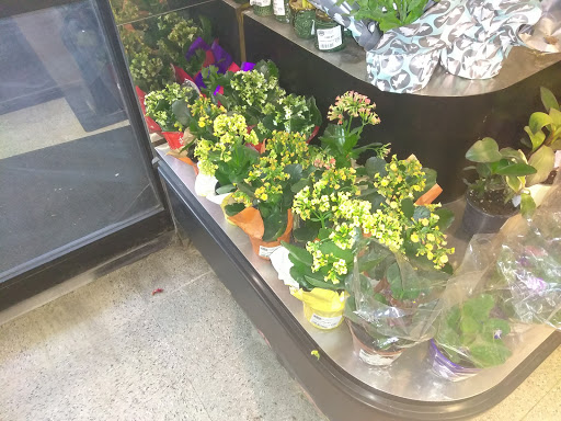 Grocery Store «Key Food Marketplace», reviews and photos, 450 Forest Ave, Staten Island, NY 10301, USA