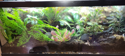 Pet Store «Fins Feathers Paws & Claws», reviews and photos, 436 Main St, Harleysville, PA 19438, USA