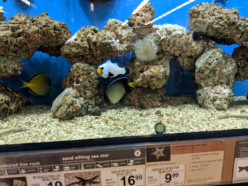 Pet Supply Store «Petco Animal Supplies», reviews and photos, 4491 Kirkwood Hwy, Wilmington, DE 19808, USA