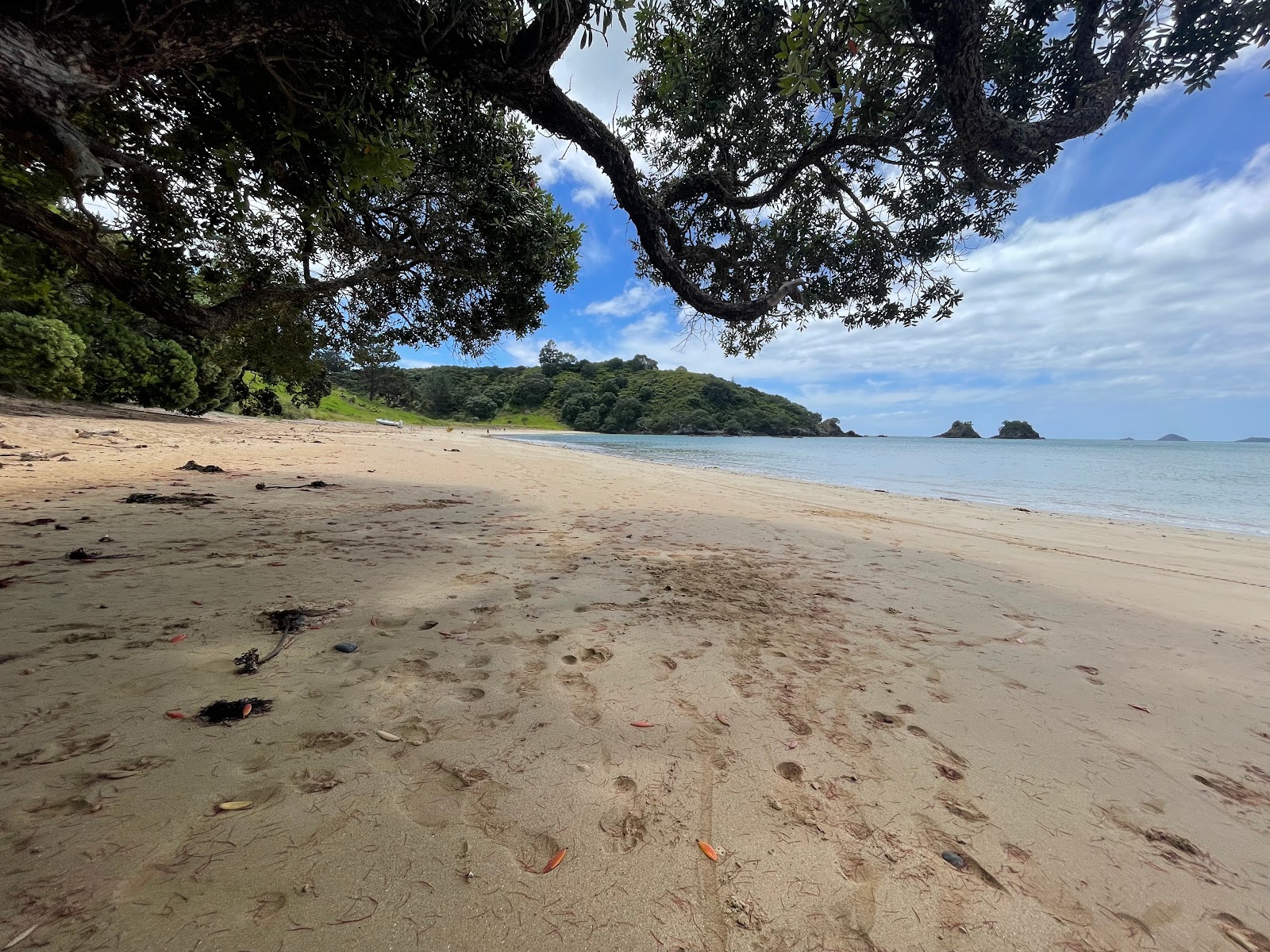 Zdjęcie Piapia Bay Beach z powierzchnią jasny piasek