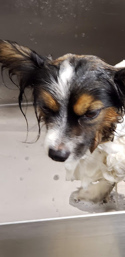 Pet Supply Store «Lemos Feed & Pet Supply», reviews and photos, 1320 Main St, Morro Bay, CA 93442, USA