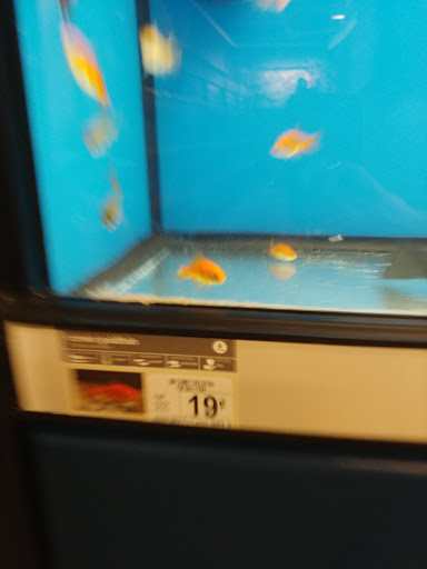 Pet Supply Store «Petco Animal Supplies», reviews and photos, 3800 S Tamiami Trail #20, Sarasota, FL 34239, USA