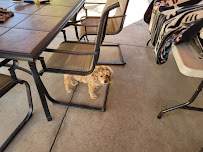 Tails A Wag Inn - Photo 2 - Car repair in Anaheim, CA, Ontario