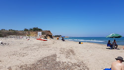 Spiaggia di Torre Testa'in fotoğrafı - rahatlamayı sevenler arasında popüler bir yer