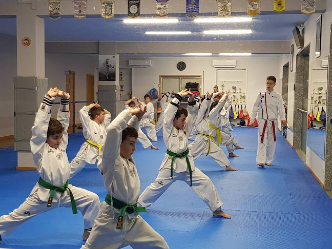 Academia de Taekwondo Brito - Academia