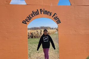 Peaceful Pines Pumpkin Patch & Apple Orchard image