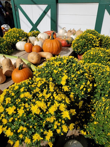 Orchard «Riamede Farm», reviews and photos, 122 Oakdale Rd, Chester, NJ 07930, USA