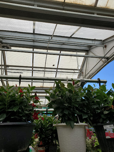 Home Improvement Store «The Home Depot», reviews and photos, 393 S Hover Rd, Longmont, CO 80501, USA