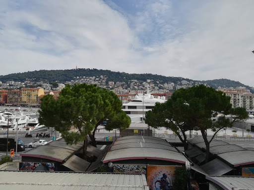 Puces de Nice