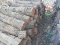 Makhnu Timber Traders