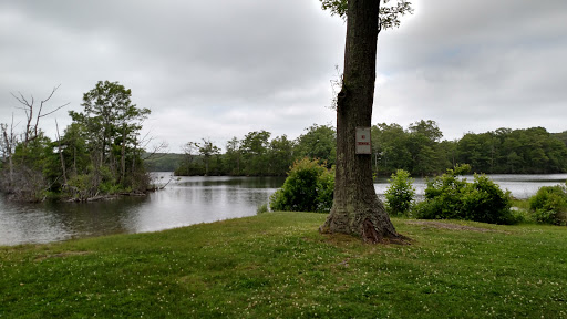 State Park «Lincoln Woods State Park», reviews and photos, 2 Manchester Print Works Rd, Lincoln, RI 02865, USA